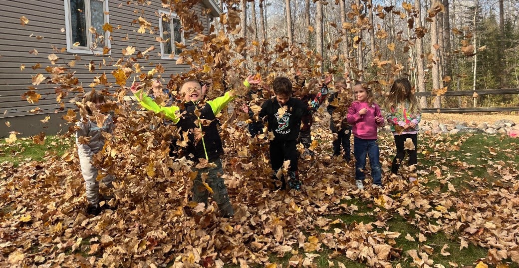 Nature Center Leaves 2