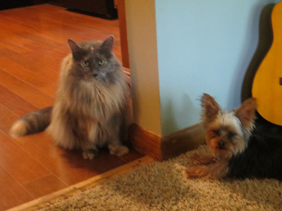 Rosieposie and Bellarougeot